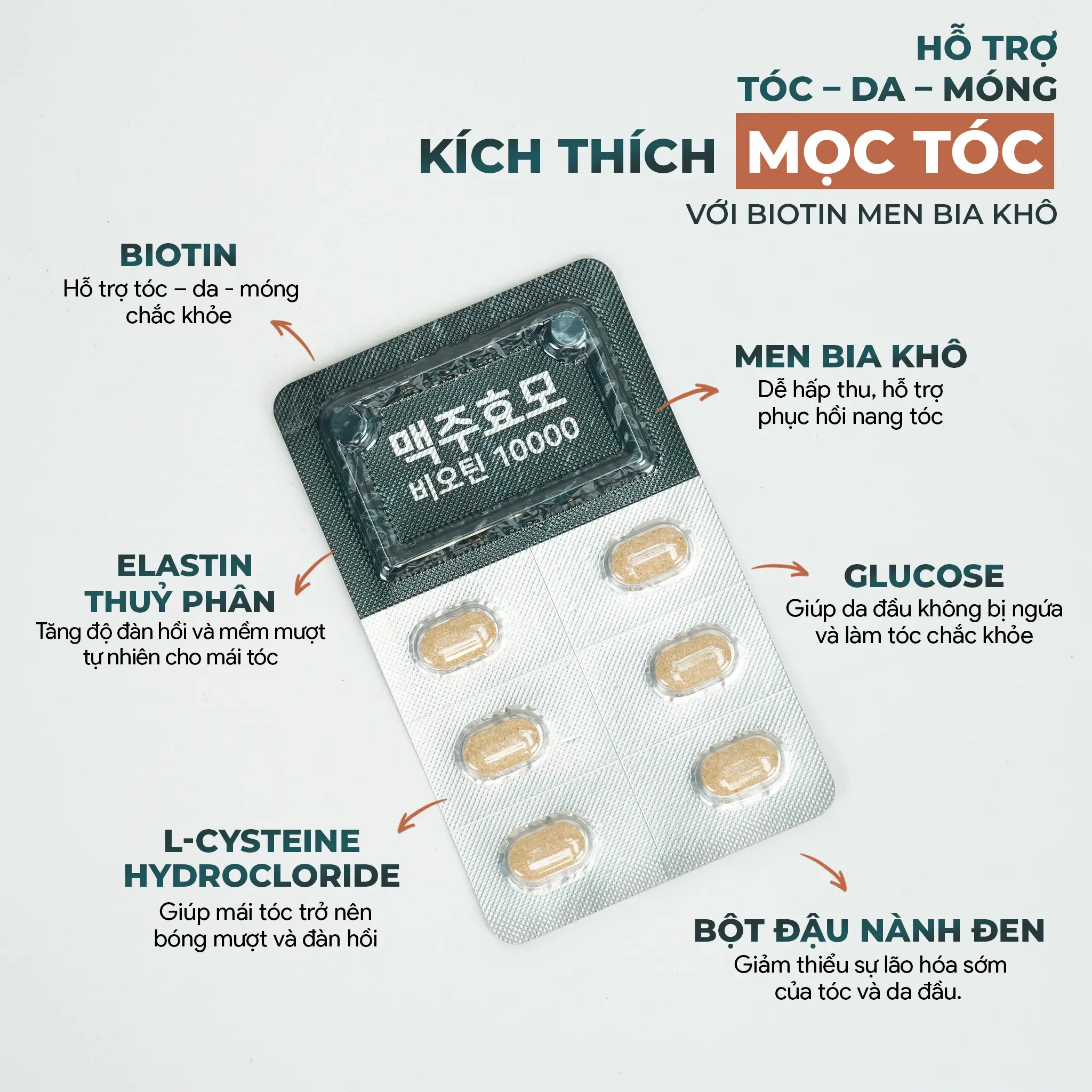 Biotin Men Bia Khô 1